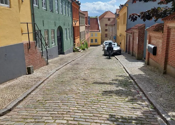 Hyggelig I Baggard